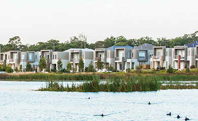 Two storey houses behind lard lake with grass on water surface