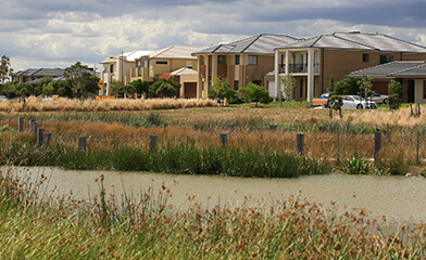 Two storey houses behind wetlands